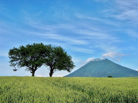 羊蹄山の風景