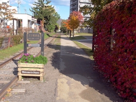 手宮線跡の線路と花