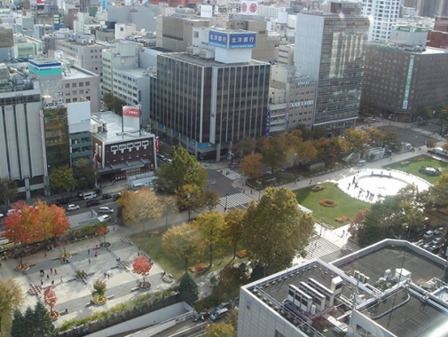 空から見る大通公園