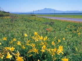 まっすぐ伸びた線路