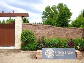 UENO FARM