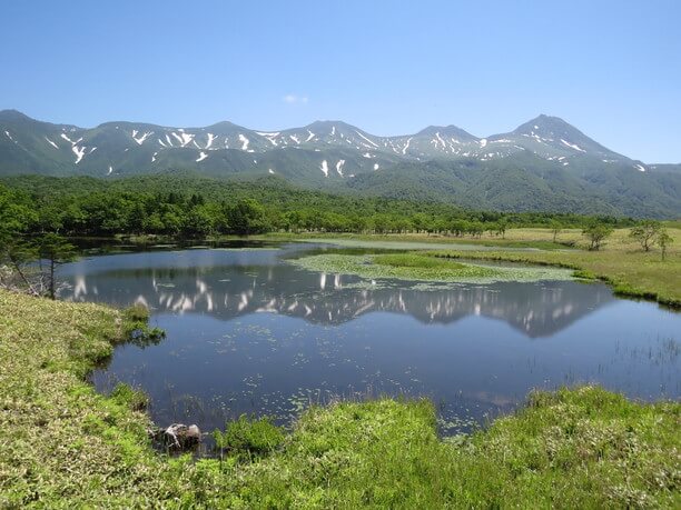 知床観光でココは外せない 動植物が息づく森と知床五湖 Jtrip Smart Magazine 北海道 知床観光でココは外せない 動植物が息づく森と知床五湖 Jtrip Smart Magazine 北海道