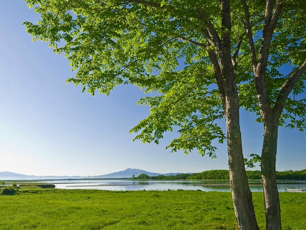 斜里岳の優美な姿を湖面に映す花と野鳥の楽園 濤沸湖の四季 Jtrip Smart Magazine 北海道