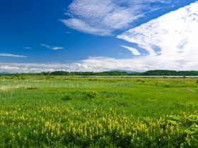 見渡す限りの草原