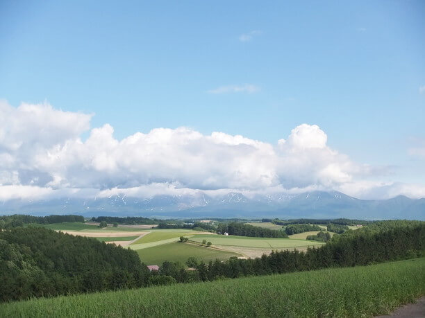 あまりにも美しすぎる風景美芸術作品のような丘の町・美瑛 | JTRIP