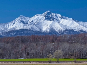 北方的風貌の山