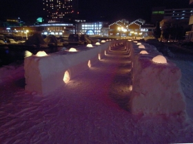 道沿いの雪あかり