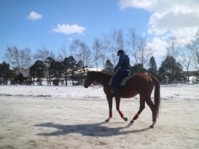 雪道の乗馬