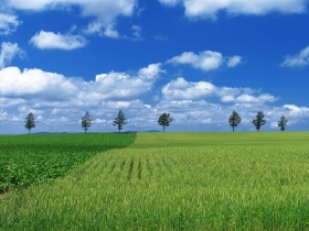 丘からの風景・緑と青空