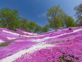 メルヘンの世界のような風景