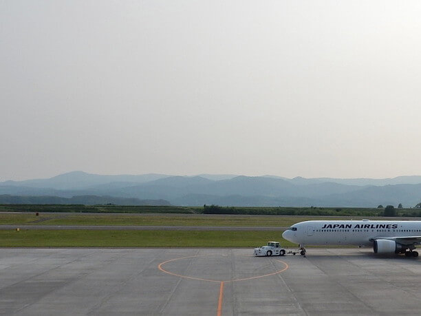 飛行機と山々