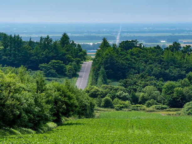 天に続く道