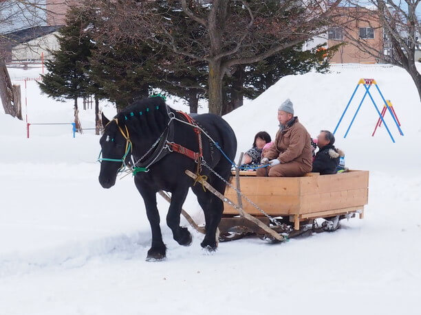 お馬さんが引いてくれる雪ぞり