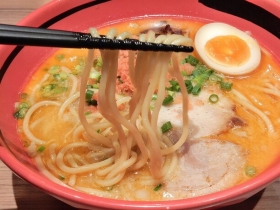 縮れのないストレート麺