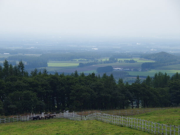 北海道らしい風景