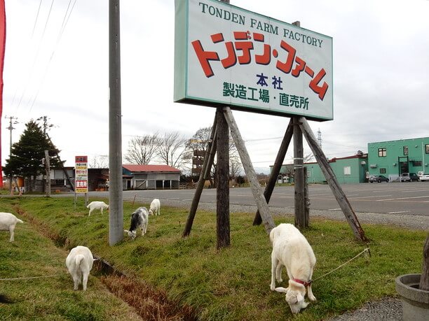 トデンファーム看板