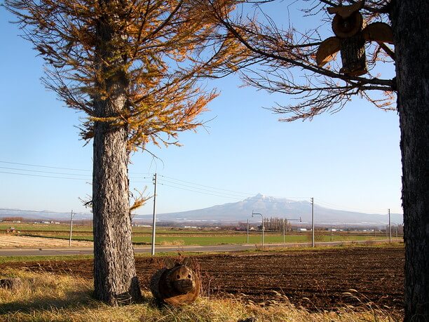 知床の山々と広大な畑