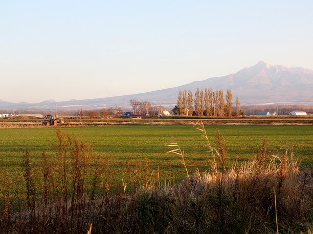 のどかな風景