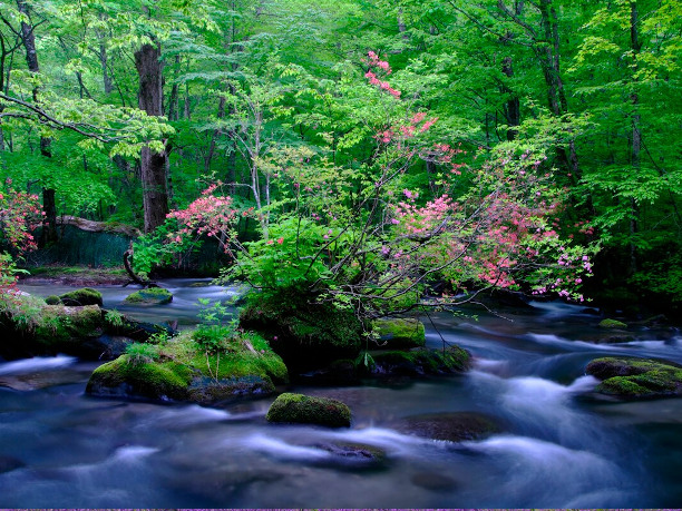 青森県