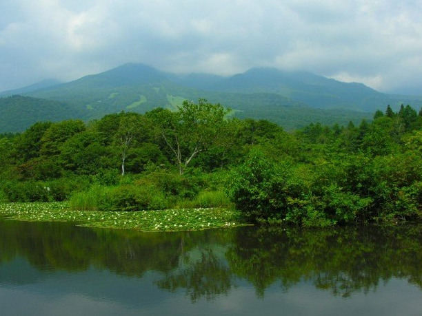 新潟県