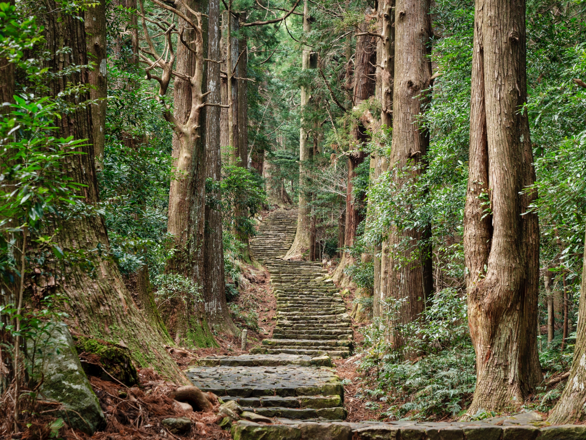 熊野古道 width=