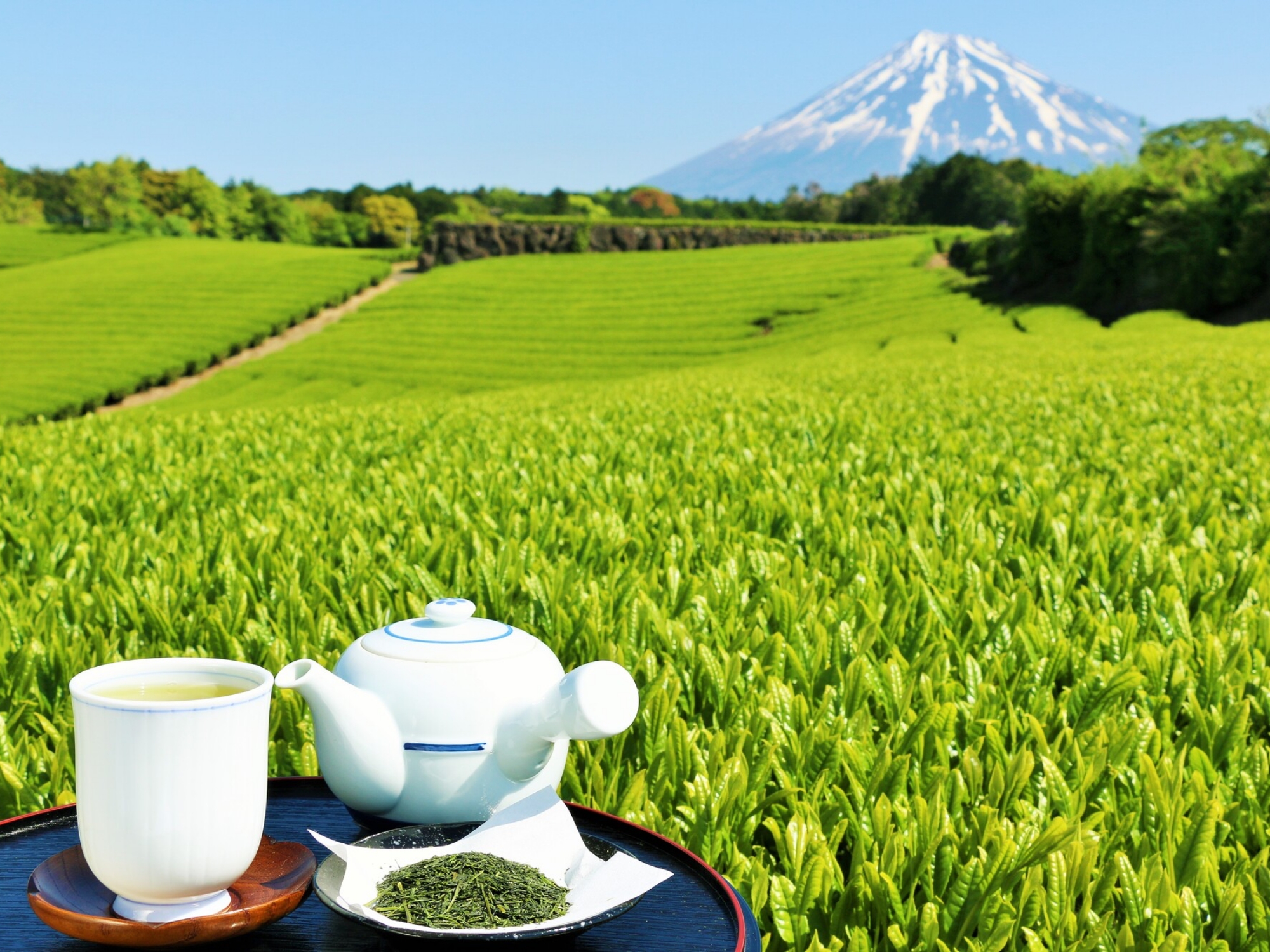 静岡県イメージ