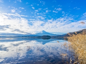 富士山