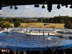 SS京都水族館09