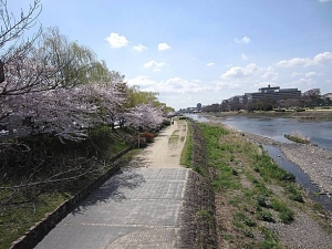 鴨川5