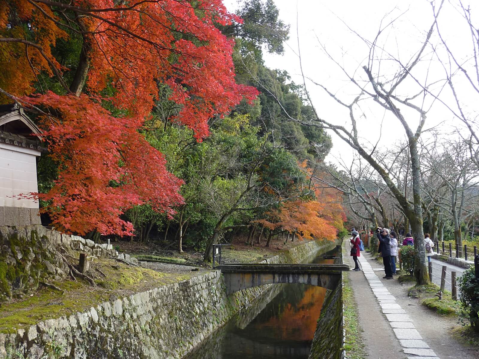 遊歩道に咲く紅葉