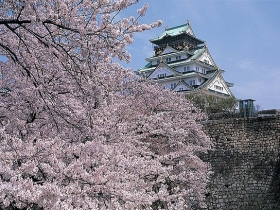 桜と大阪城