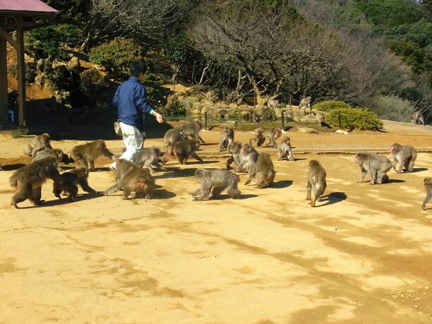 餌やりタイム