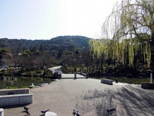 円山公園