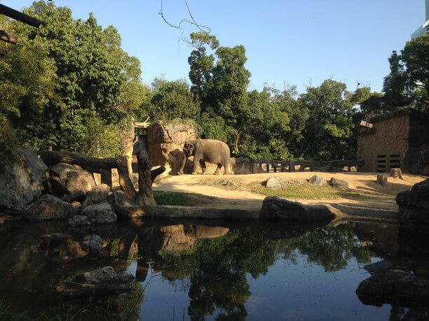 天王寺動物園