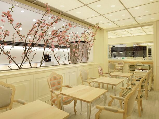 _本店　桜