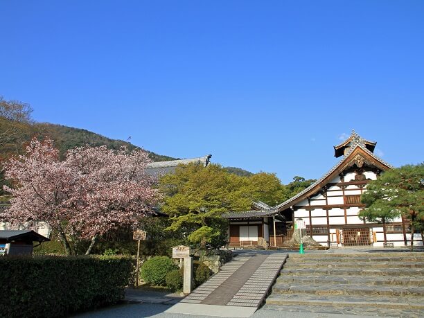 桜と境内