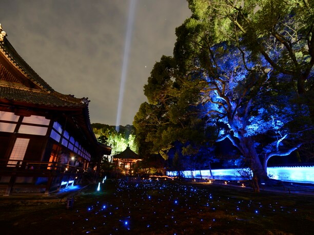 幻想的な風景