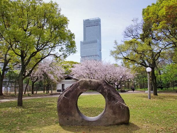 公園からの眺め