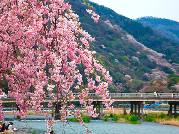 京都