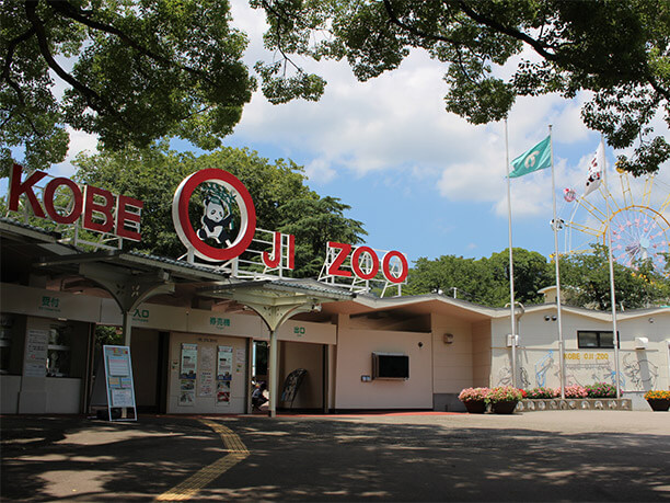 神戸市立王子動物園