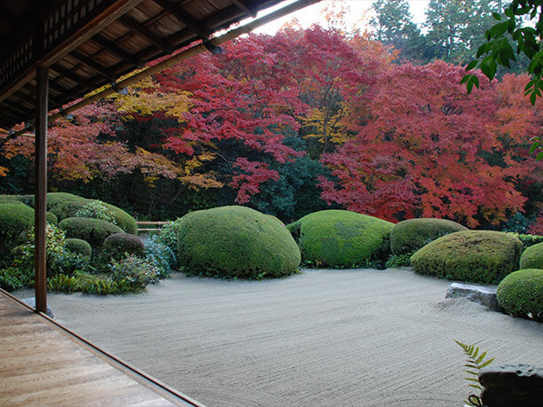 唐様庭園