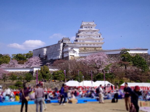 花見の季節の三の丸広場