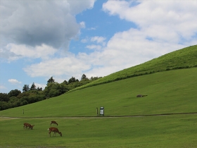 若草山