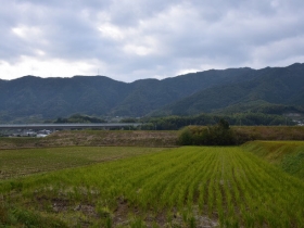 大原野