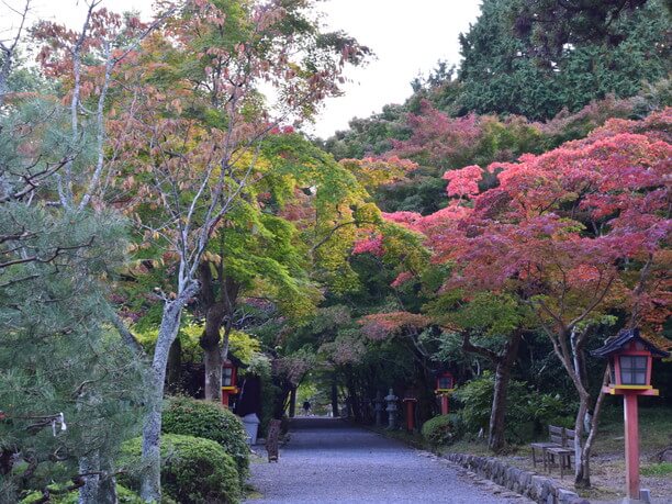 大原野神社