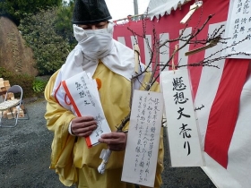 梅の木に括り付けられたサンプル