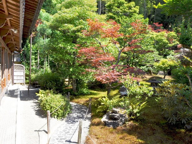 竹林や楓などに囲まれた境内