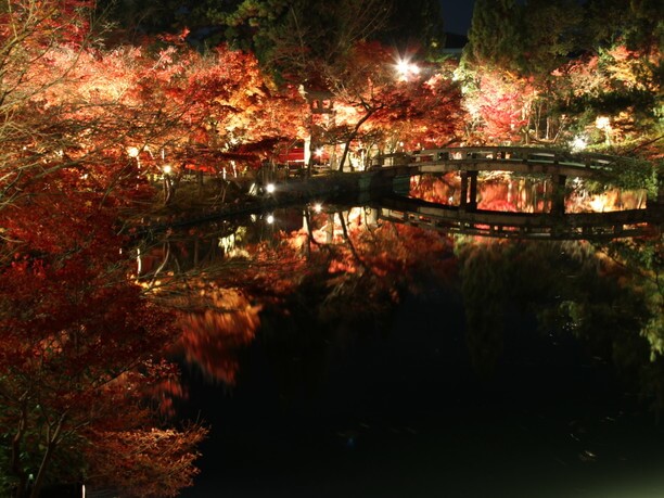 水面の紅葉