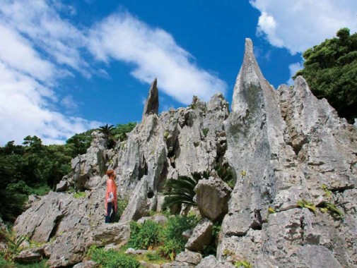 大石林山_01
