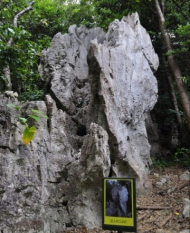 大石林山の石①